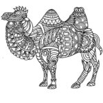 camellos-en-mandalas