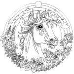 mandala-caballo