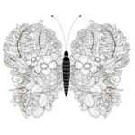 mandala de mariposa pintada