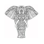 mandala-de-un-elefante