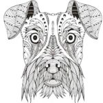 mandala-perro-pintado