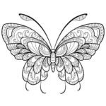 mandalas de mariposas para colorear e imprimir