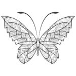 mandalas en mariposas