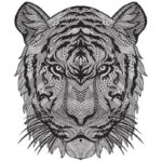 tigre-en-mandala